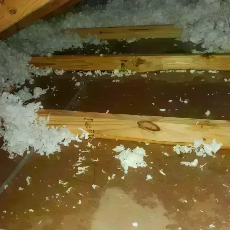 Attic Water Damage in Wyldwood, TX