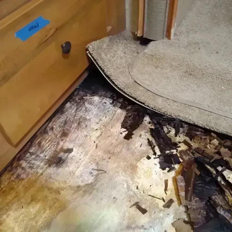 Wood Floor Water Damage in Wyldwood, TX